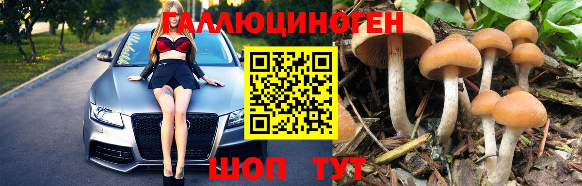 Мелеуз  Псилоцибиновые грибы прущие грибы  Вход с VPN 
